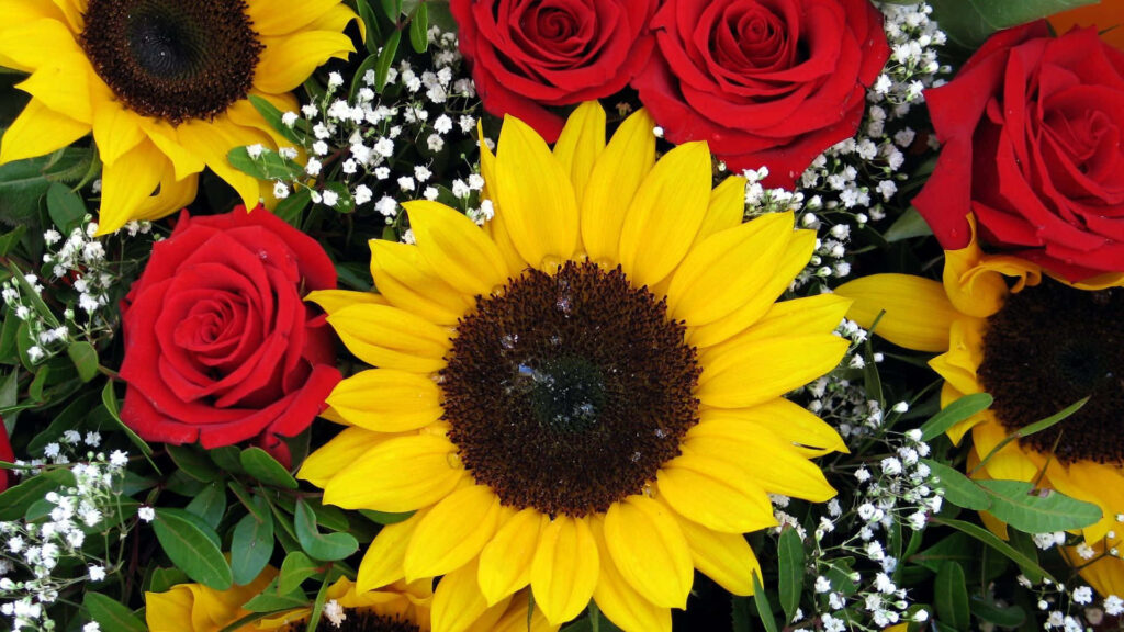 Vibrant Sunflower and Red Rose Floral Wallpaper Background