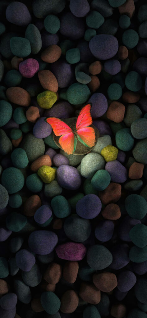 Glowing Butterfly Wallpaper: Vibrant Aesthetic Background with Pebbles