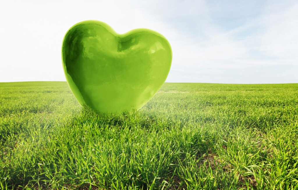 Lush Green Field with Heart Structure - Peaceful Wallpaper Background