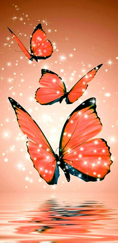 Vibrant Orange Butterfly Wallpaper: Mesmerizing Reflective Design
