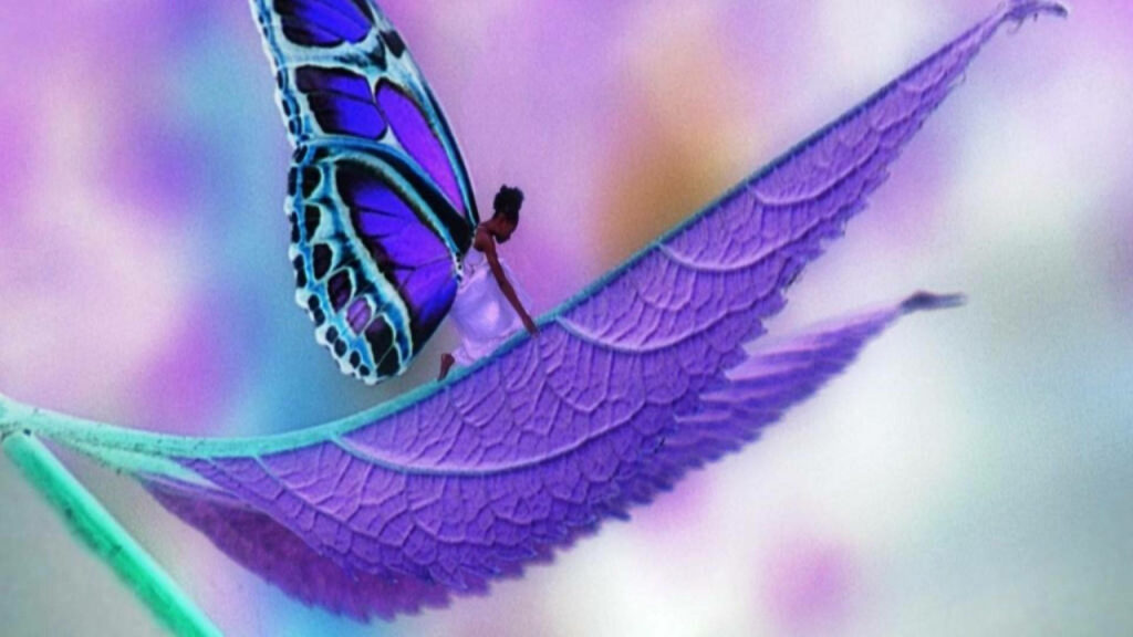 Stunning Purple Butterfly Wallpaper with Dreamy Leaf Background