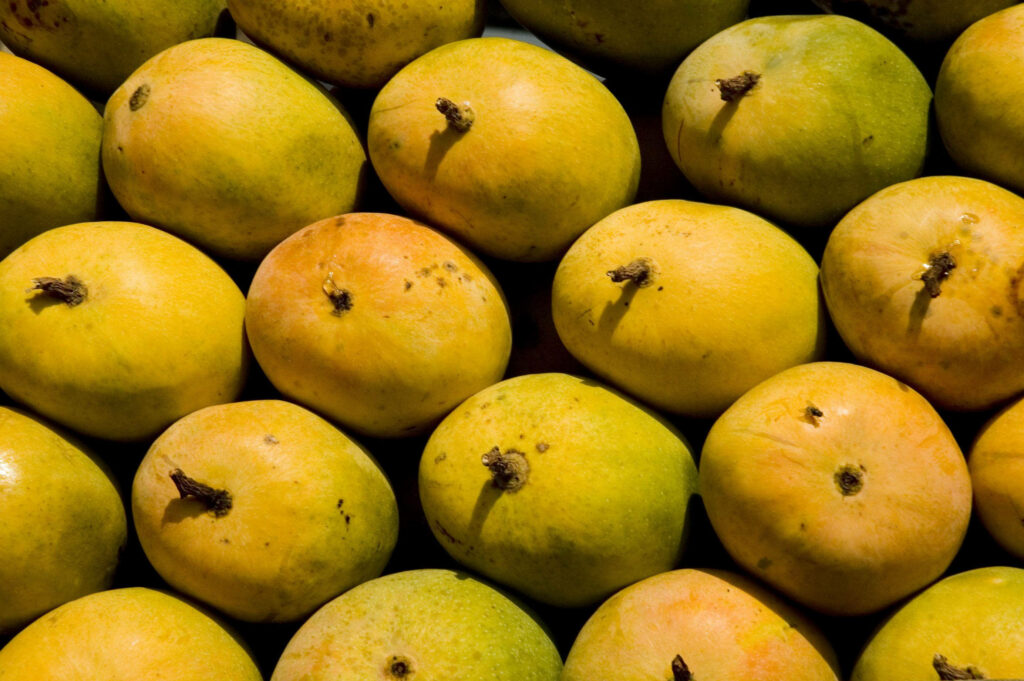 Vibrant Mango Wallpaper: Golden-Yellow Fruits in Close-Up Texture