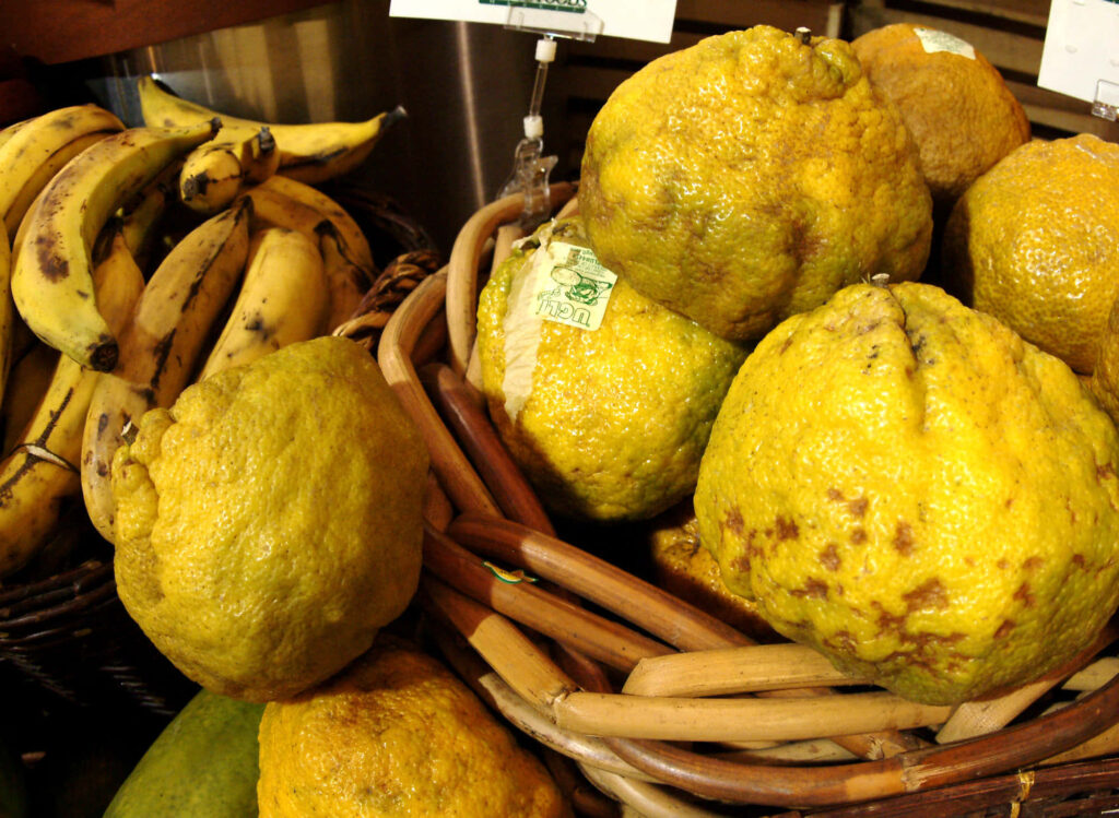 Vibrant Ugli Citrus & Bananas Wallpaper: Textures & Colors in Rustic Setting