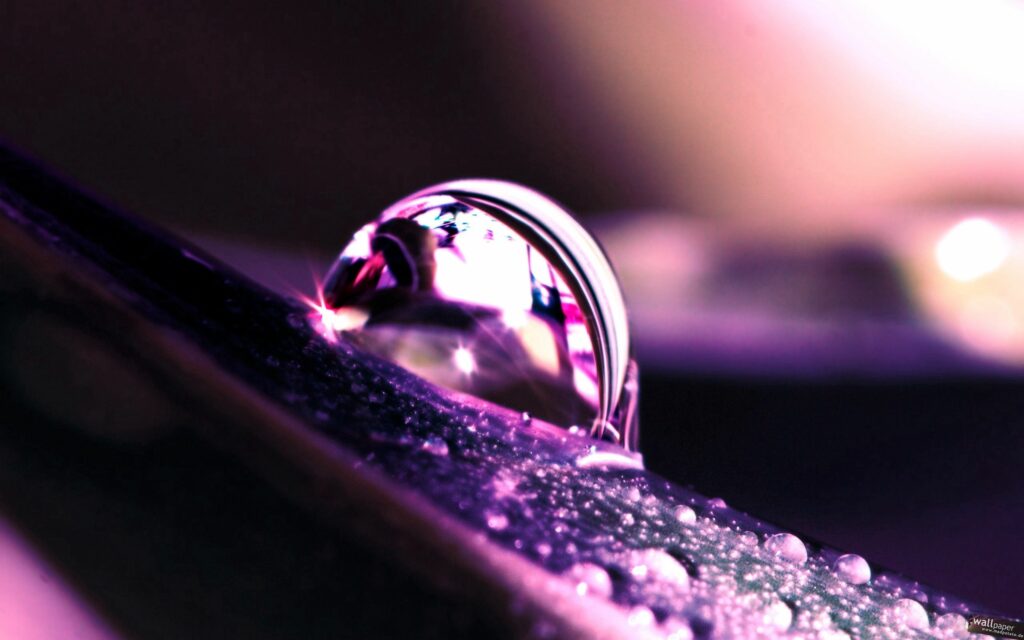 Vibrant Water Droplet on Petal: Stunning Wallpaper Background