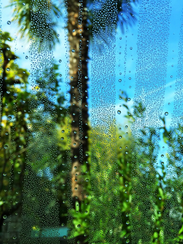 Vibrant Water Droplets on Glass: Tropical Wallpaper Background