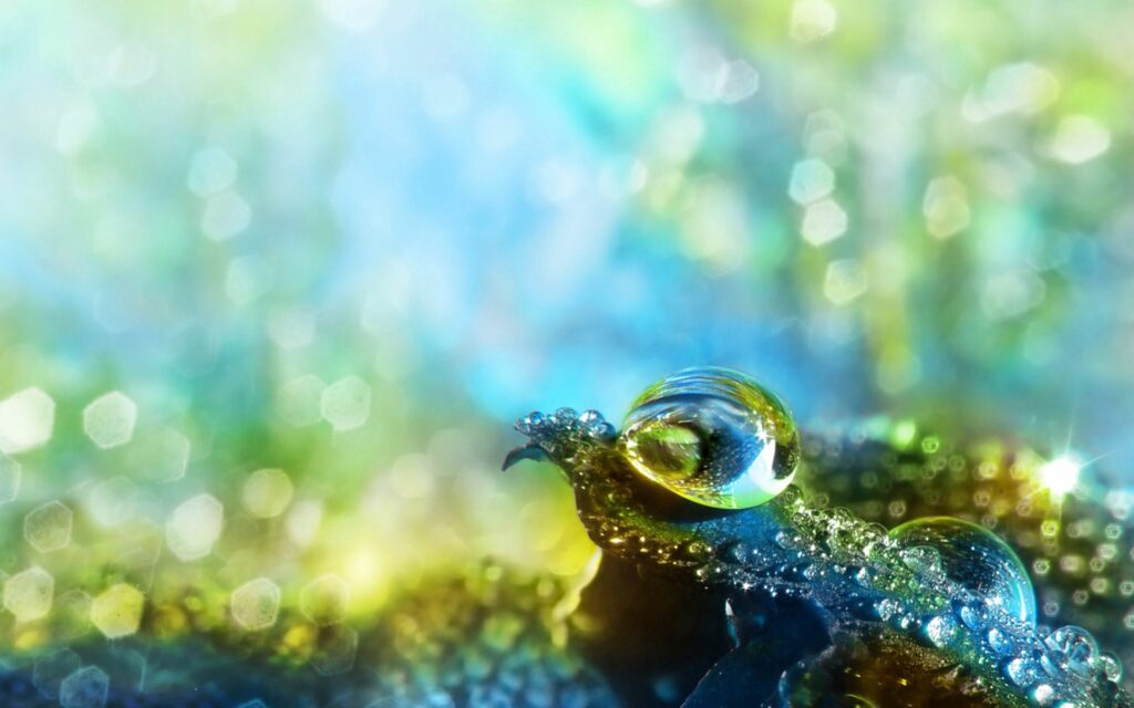 Vibrant Water Drops Wallpaper with Stunning Bokeh Background