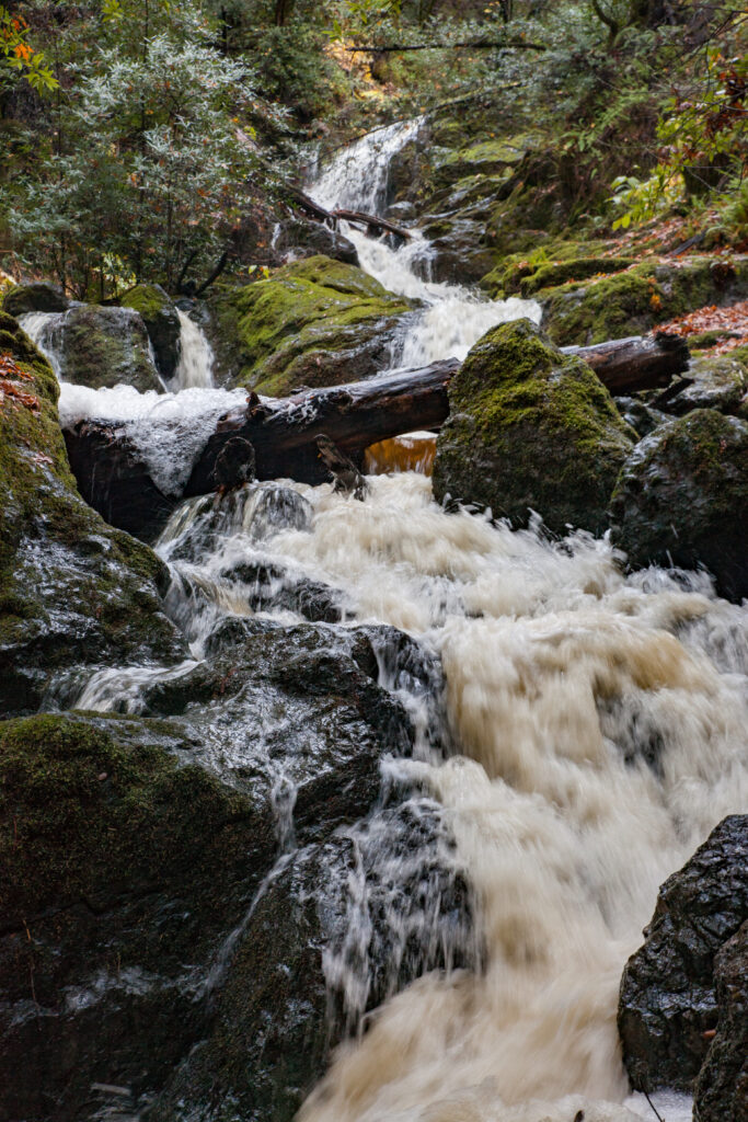 Vibrant waterfall cascading over mossy stones with lush green forest foliage nature wallpaper