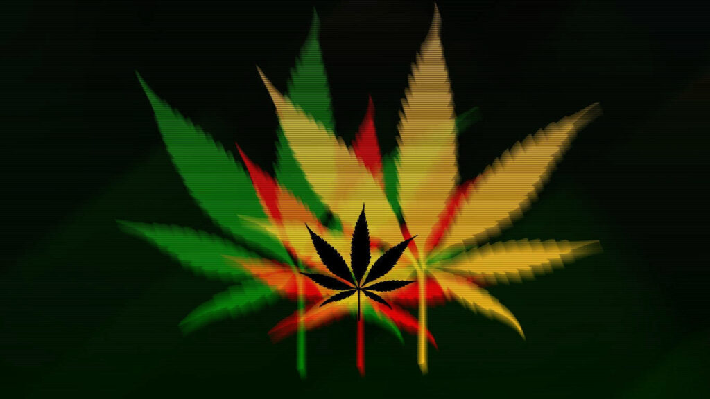 Vibrant Weed Leaf Wallpaper on Black Background - Stylish Design