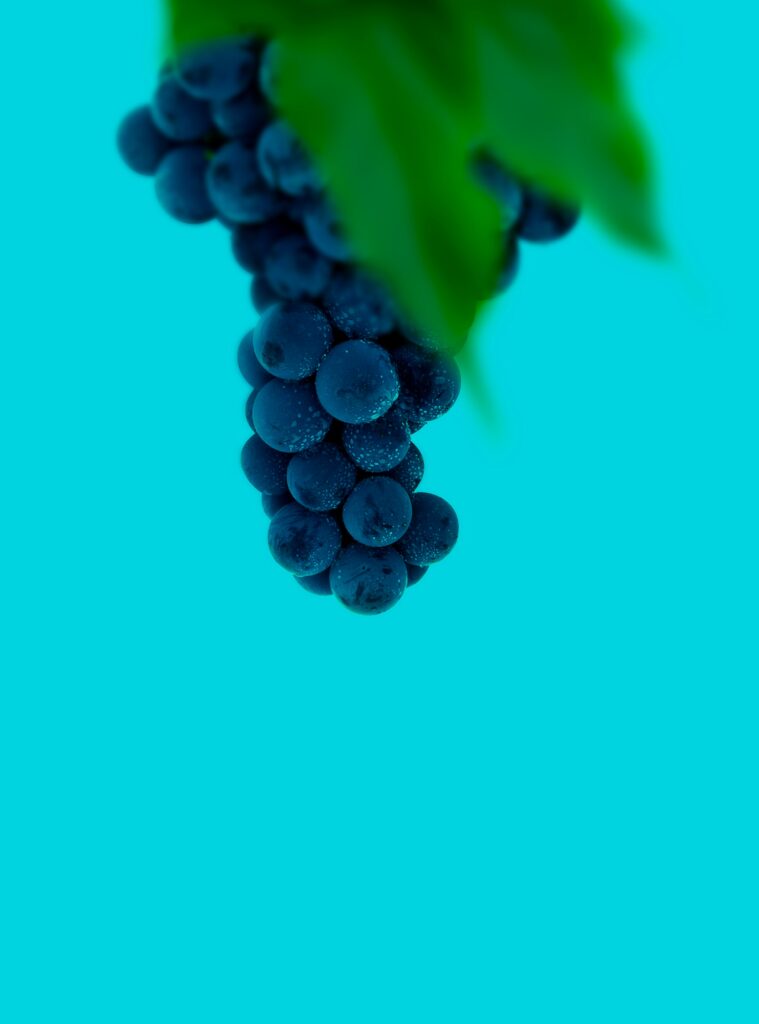 Vibrant Turquoise Wallpaper: Macro Shot of Fresh, Wet Grapes