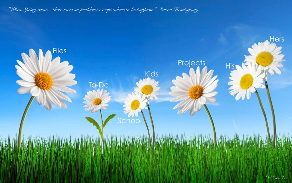 White daisies desktop organizer wallpaper with labeled sections and Hemingway quote background