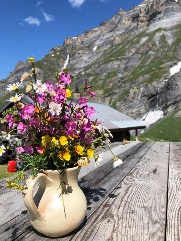 Vibrant Wildflower Bouquet in Rustic Jug - Scenic Mountain Background Wallpaper