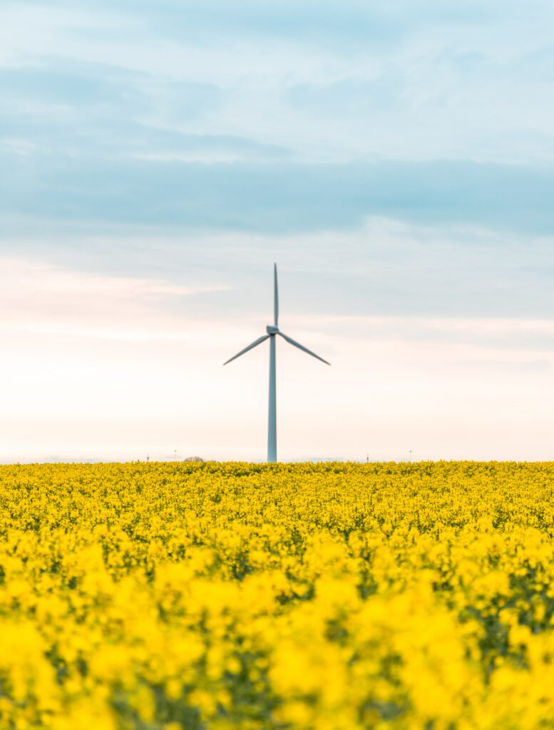 Modern windmill towering over bright yellow flower field under pastel sky serene landscape wallpaper