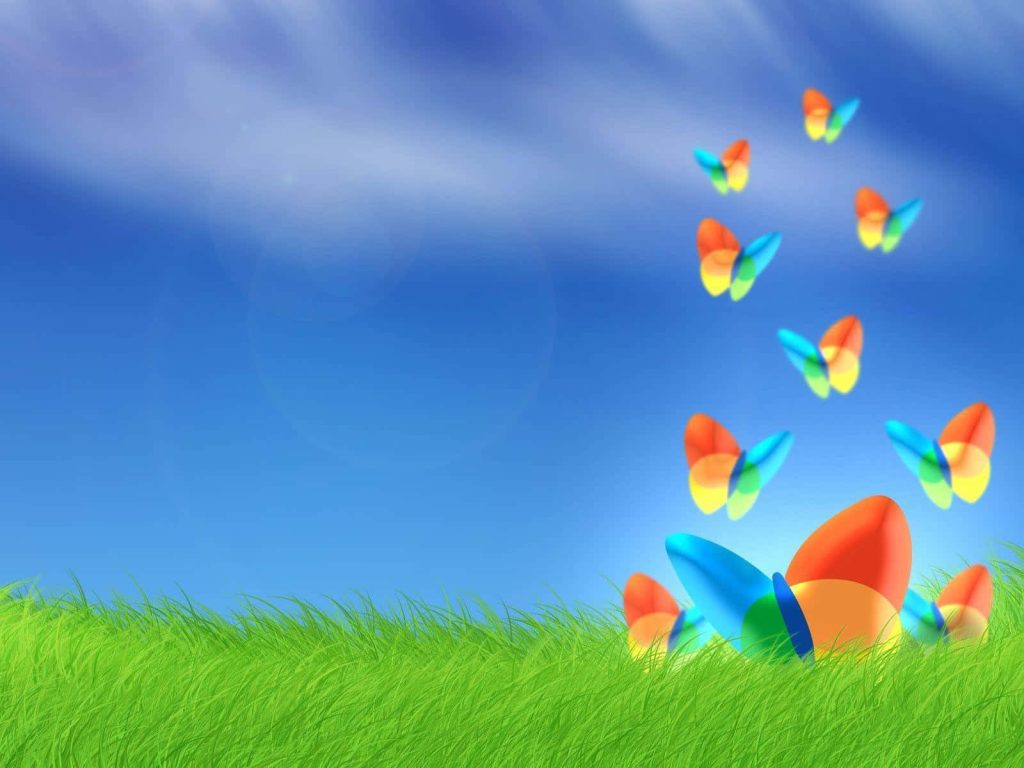 Colorful butterflies in orange blue and green over sunlit grassy field Vista wallpaper background