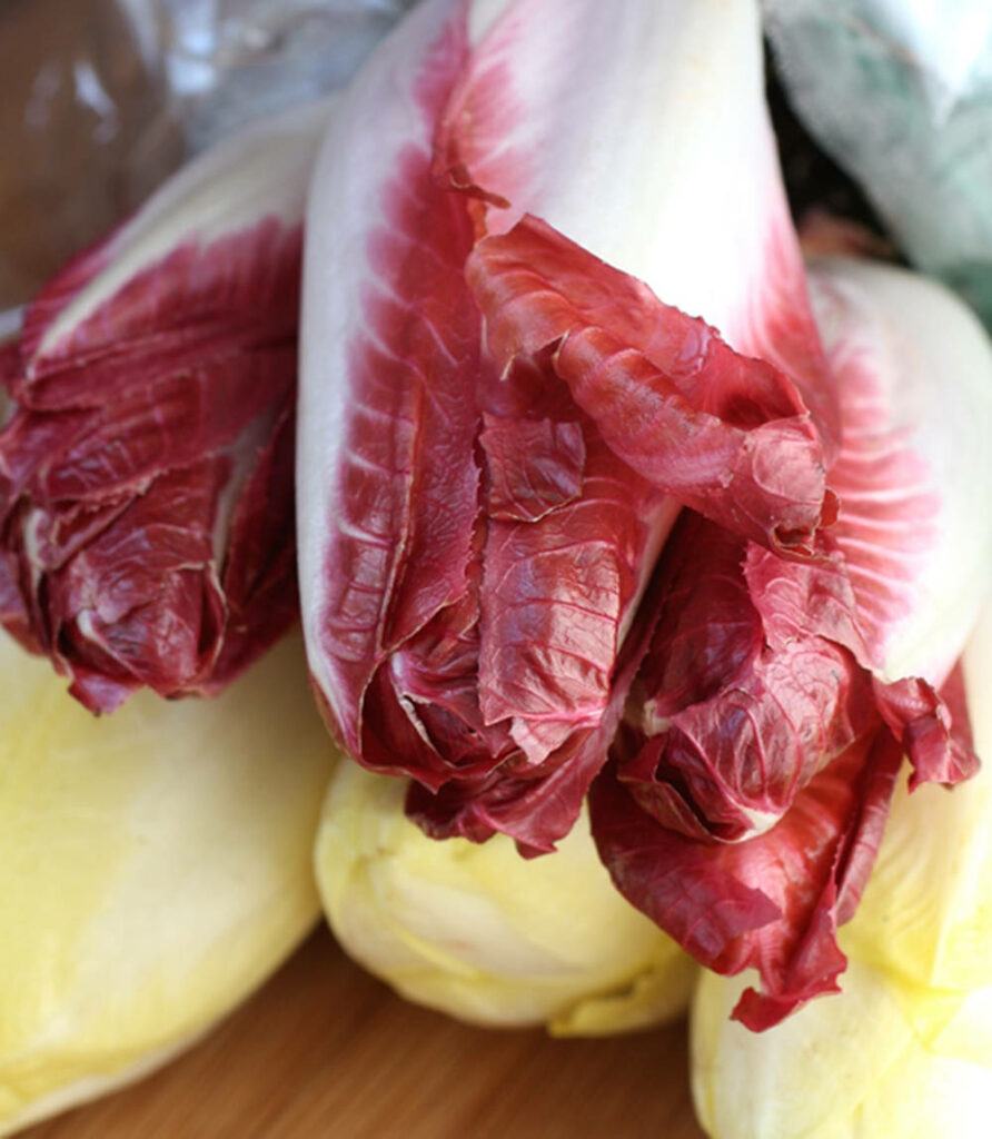 Vibrant Wine Red & Yellow Endive Leaves - Close-Up Wallpaper