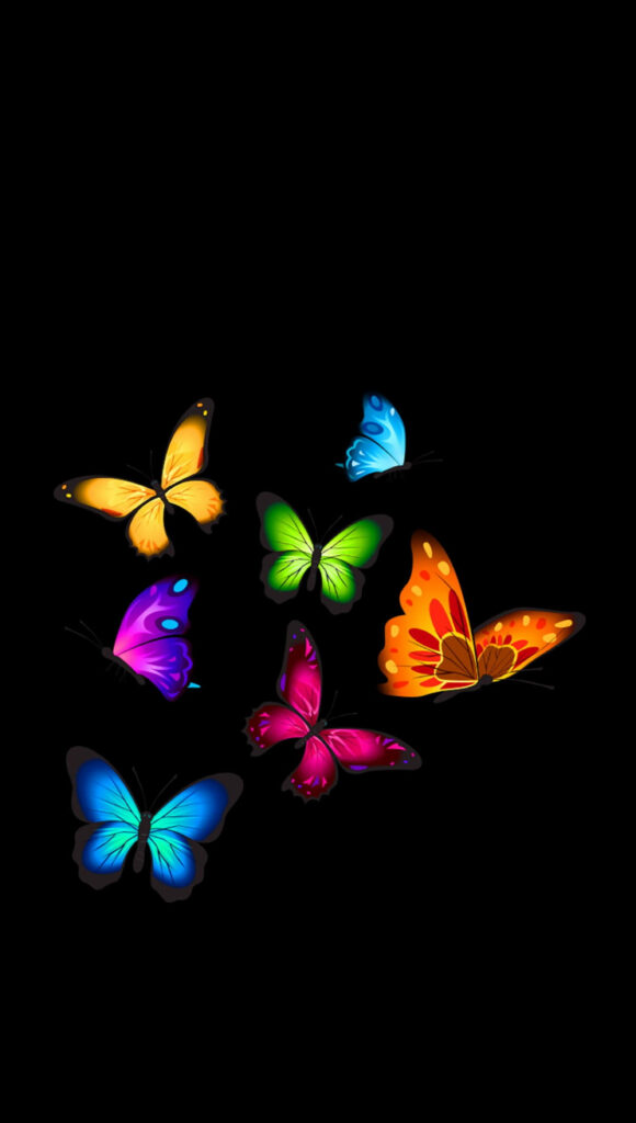 Vibrant Rainbow Butterflies Grace the Enchanting Darkness Wallpaper