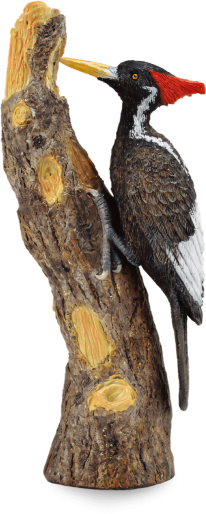 Vibrant Woodpecker Illustration on Textured Tree Trunk Wallpaper