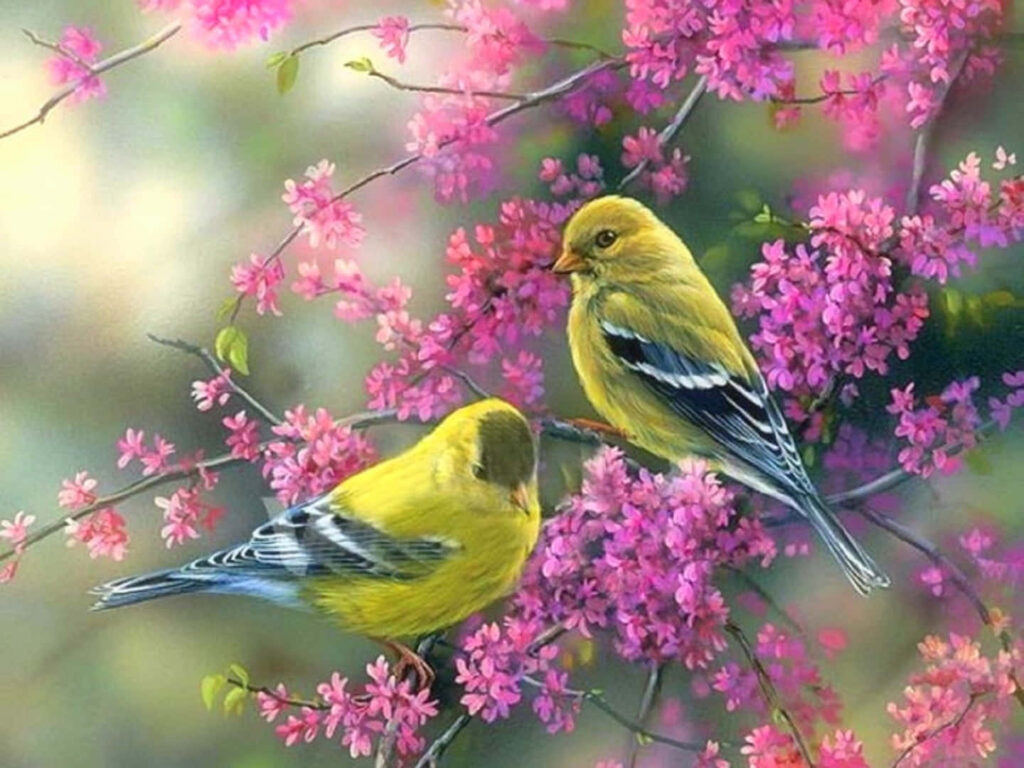 Vibrant Yellow Birds on Pink Blossoms - Serene Spring Wallpaper