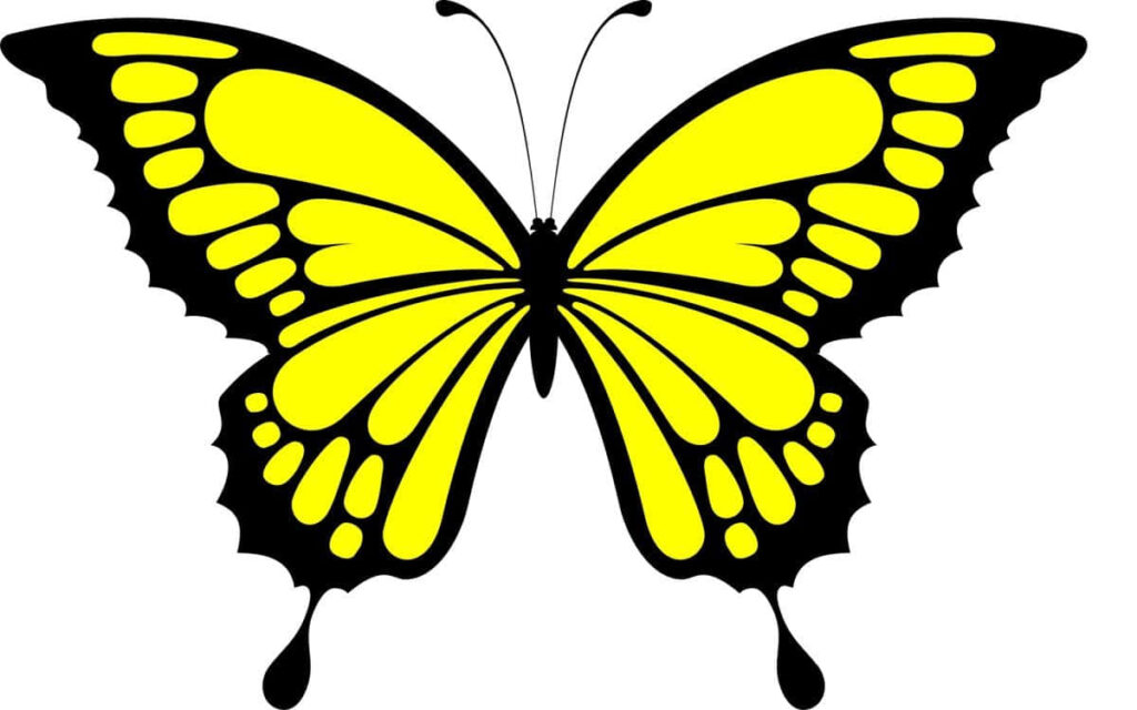 Vibrant Yellow Butterfly Wallpaper: Beauty & Transformation Design