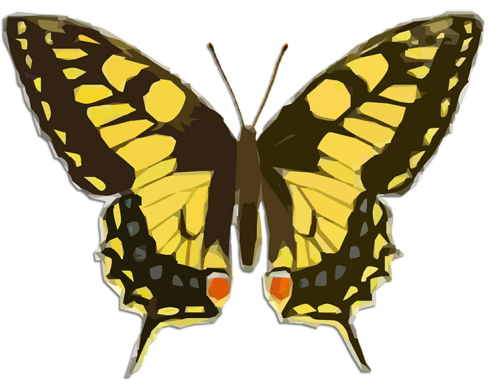 Vibrant Yellow Butterfly Wallpaper with Intricate Black Patterns