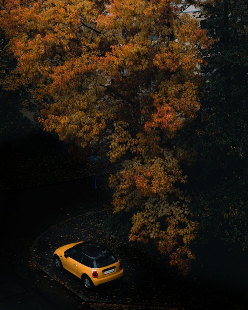 Vibrant Yellow Car Under Autumn Tree – Cozy Fall Wallpaper