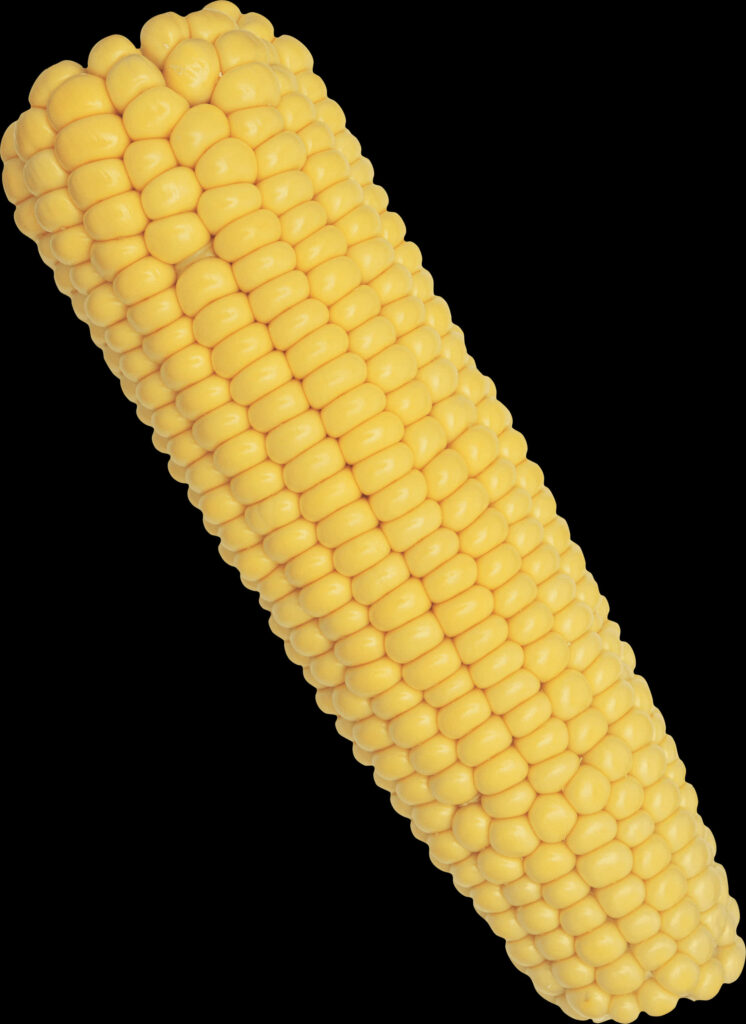 Vibrant Yellow Corn Cob Wallpaper - High-Quality PNG Background