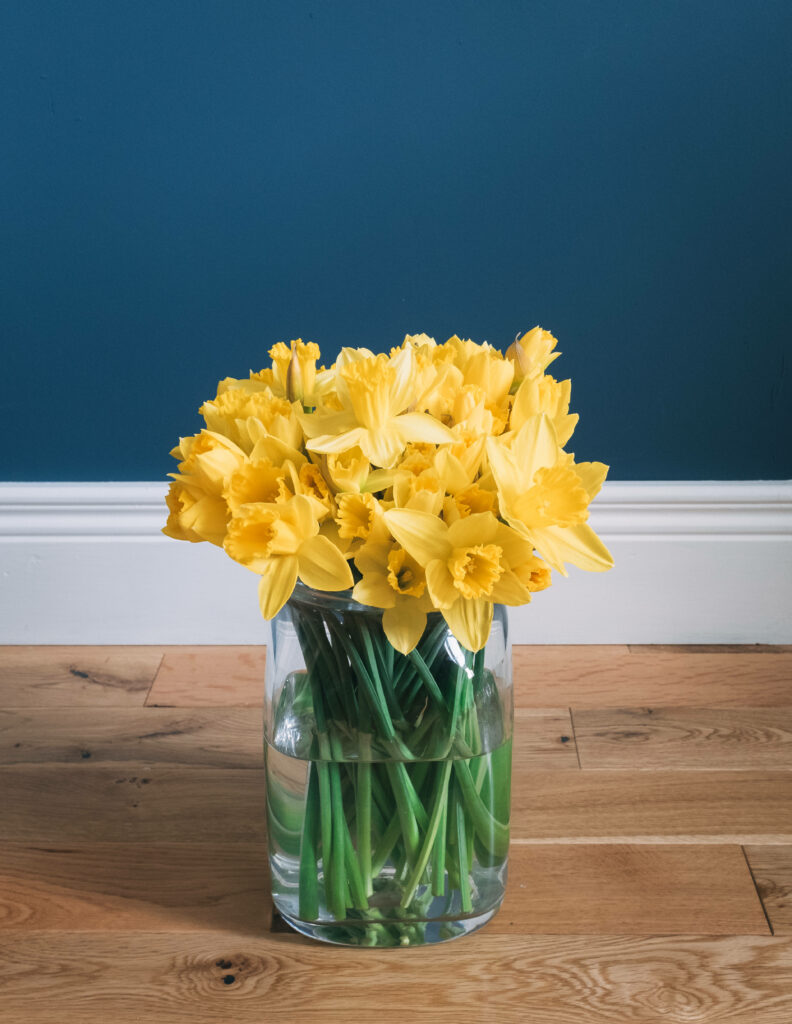 Vibrant Yellow Daffodils in Glass Vase - Cheerful Wallpaper Background