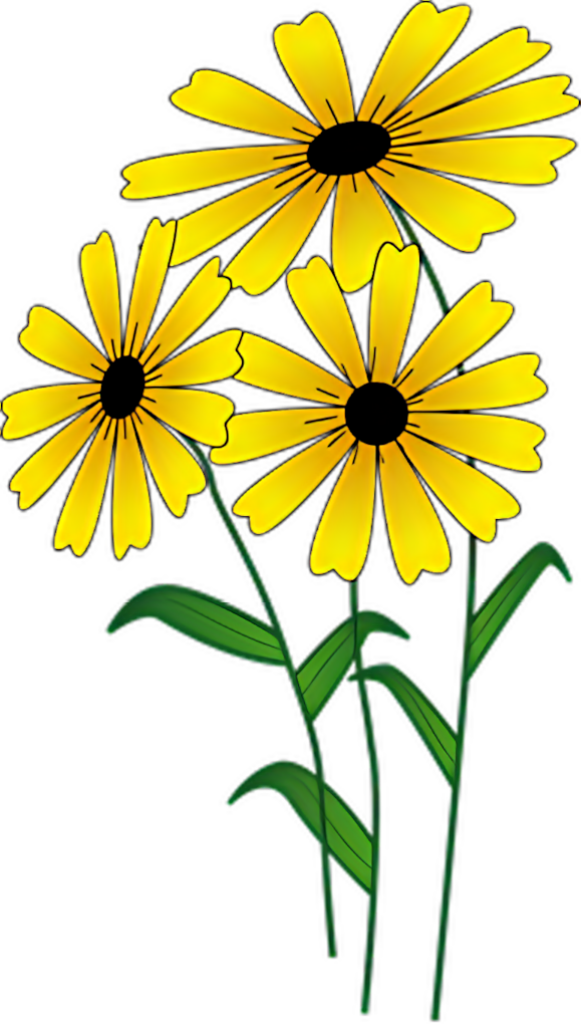 Vibrant Yellow Daisies with Green Stems - Cheerful Wallpaper Design