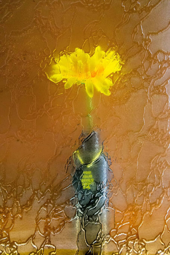 Vibrant Yellow Flower Behind Textured Glass: Blurred Artistic Background Wallpaper