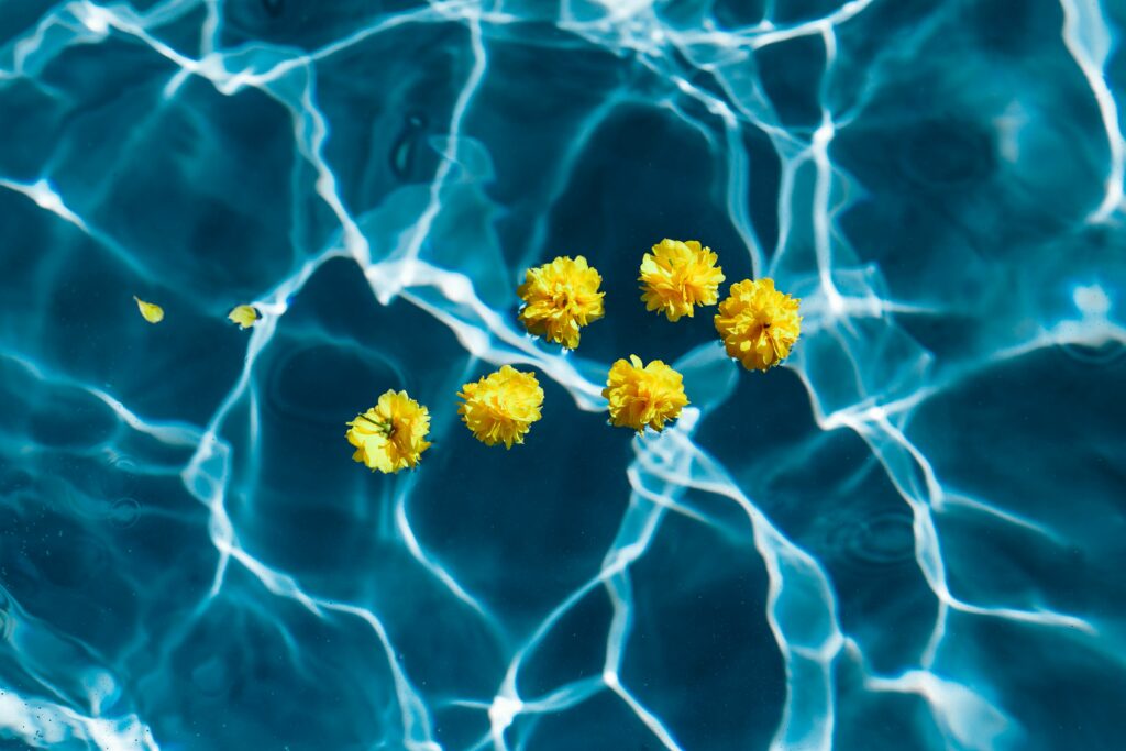 Vibrant Yellow Flowers on Clear Blue Pool - Serene Wallpaper Background