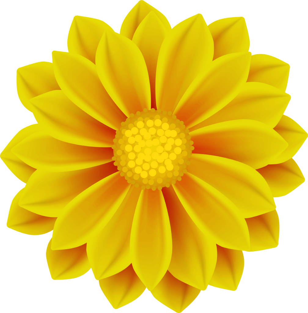 Vibrant Yellow Flower Wallpaper: Symmetrical Design & Bright Petals