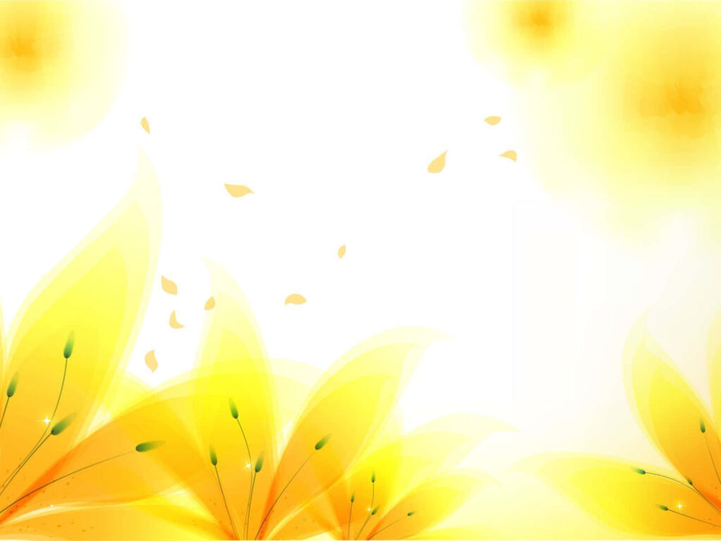 Vibrant Yellow Flower Wallpaper on Clean White Background