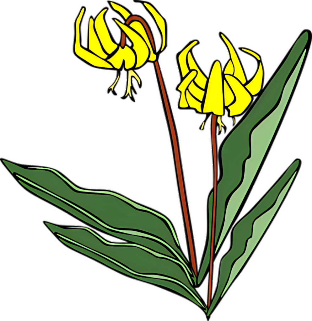 Vibrant Yellow Gladiolus Wallpaper with Elegant Vector Design