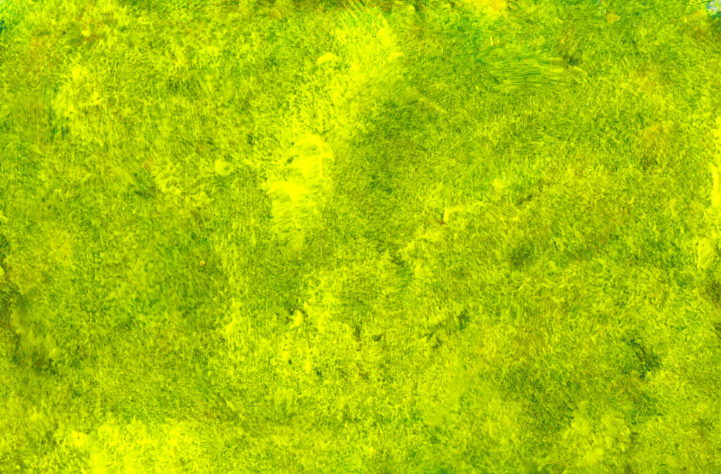 Vibrant Yellow & Green Brushstroke Abstract Wallpaper Background
