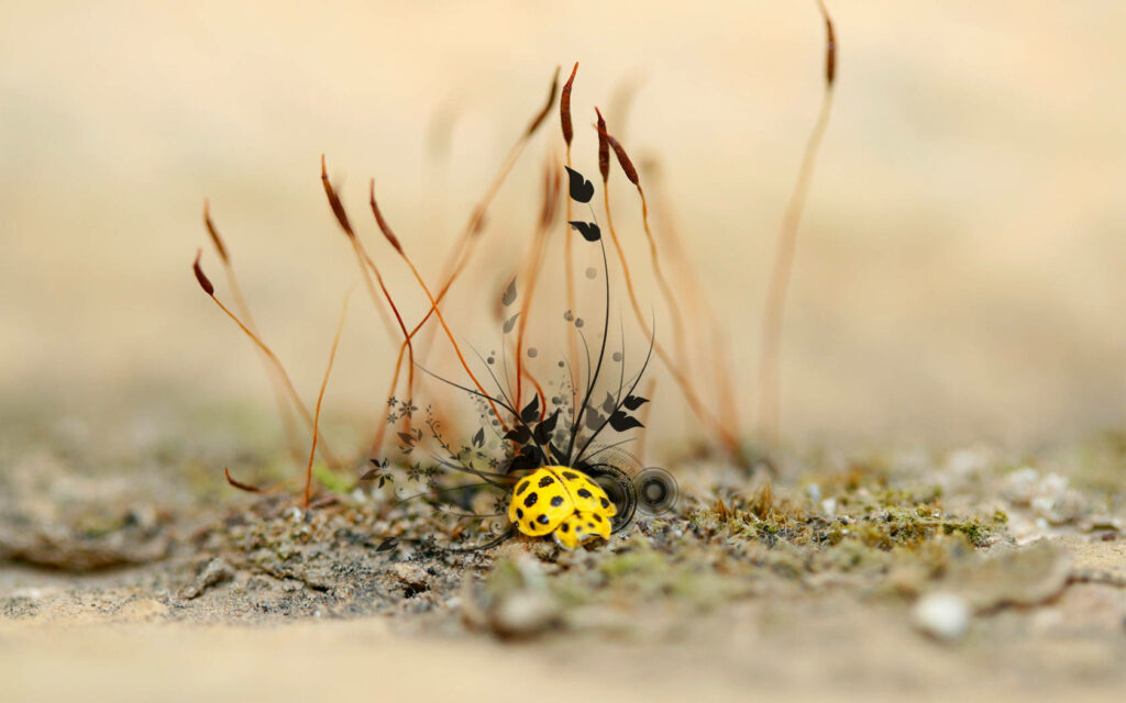 Vibrant Yellow Ladybug Beetle on Earthy Background with Plants Wallpaper
