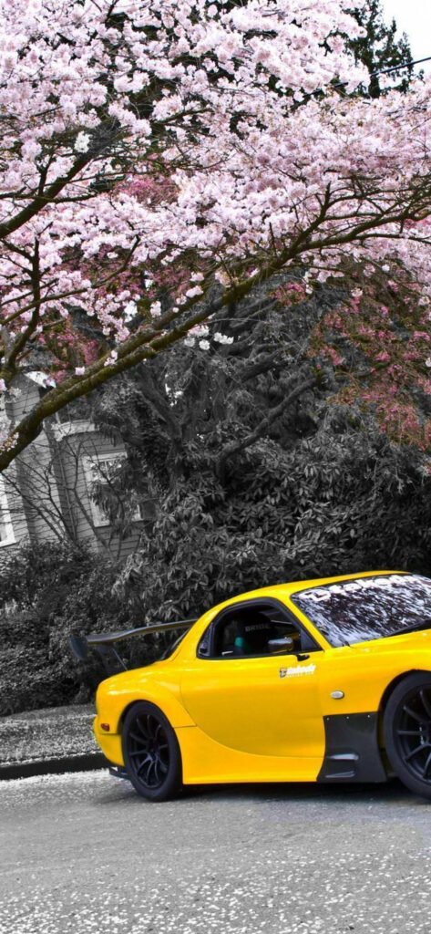 Yellow Mazda RX7 parked under blooming cherry blossom trees vibrant automotive wallpaper
