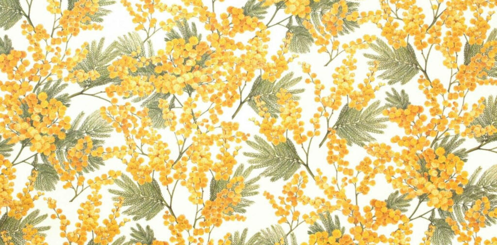Vibrant Yellow Mimosa Floral Wallpaper Design - Elegant Nature Background