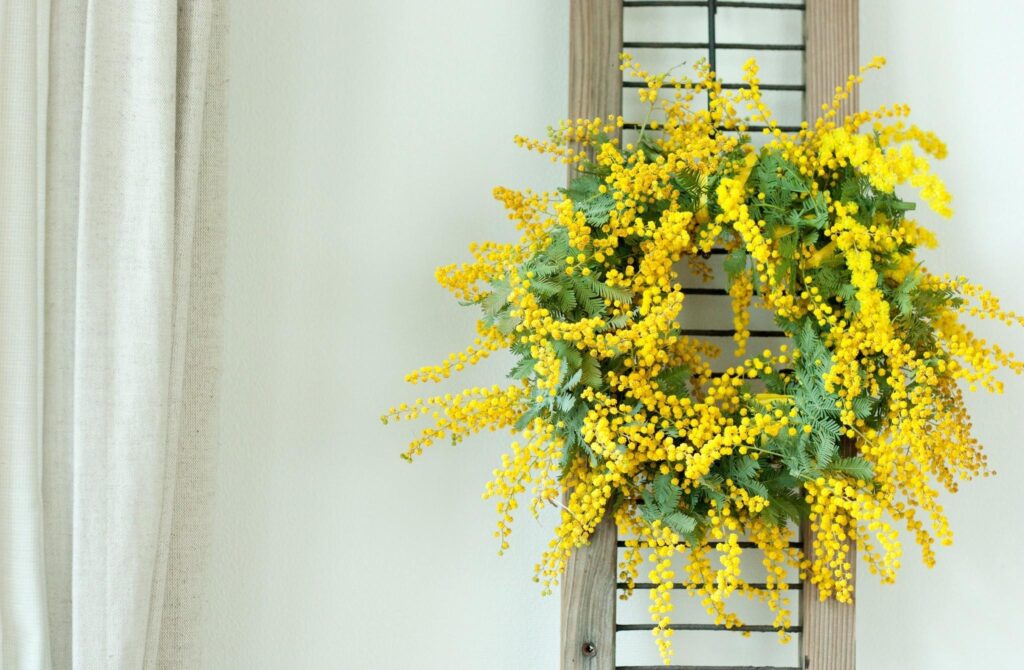 Vibrant Yellow Mimosa Wreath on Ladder Against Soft Neutral Wall Wallpaper