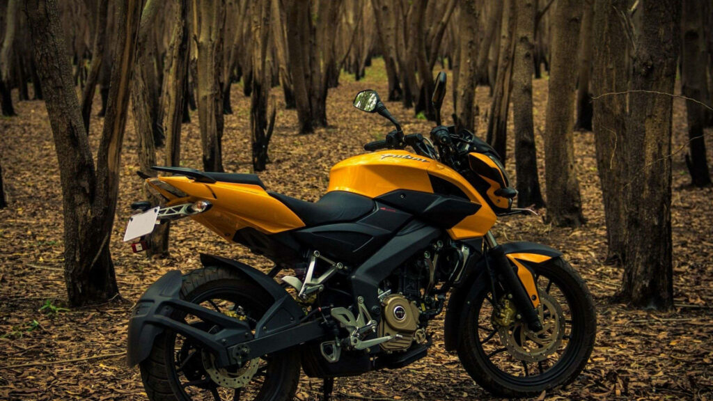 Vibrant Yellow Pulsar RS200 Motorcycle: Dynamic Forest Wallpaper