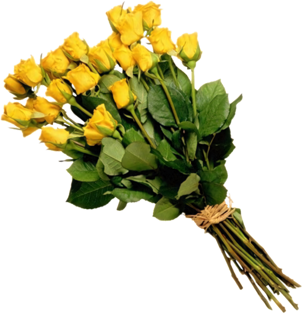 Elegant Yellow Roses Bouquet with Green Leaves on Transparent Background Wallpaper