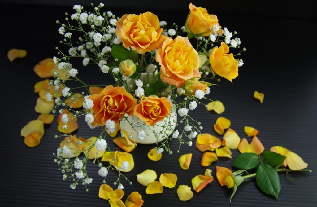 Vibrant Yellow Roses & Gypsophila Wallpaper on Dark Background