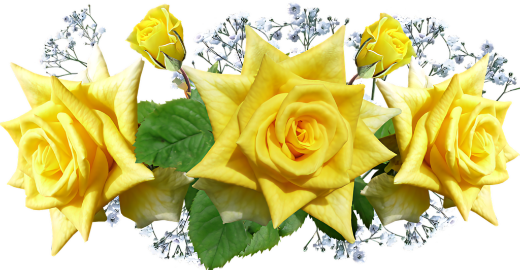Vibrant Yellow Roses with Green Leaves & Baby's Breath Background Wallpaper
