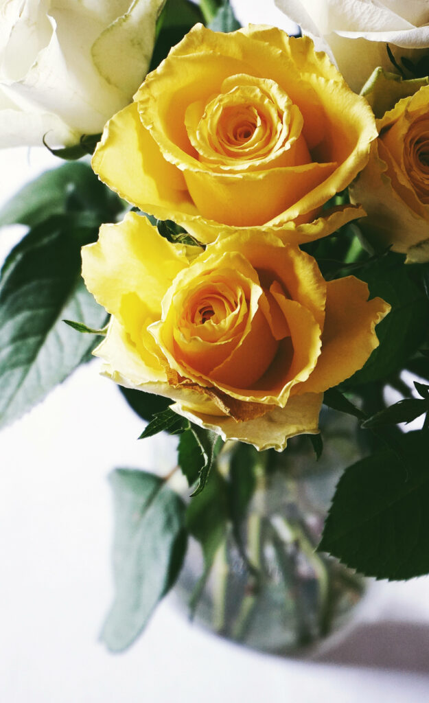 Vibrant Yellow Roses with Green Leaves - Cheerful Blurred Background Wallpaper
