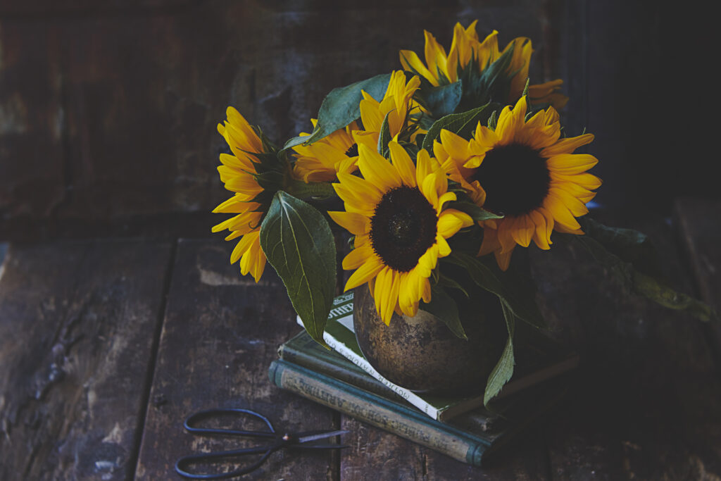 Charming Yellow Sunflowers on Rustic Wood - Vibrant Wallpaper