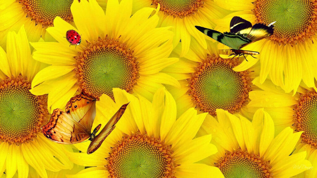 Cheerful Sunflower Wallpaper with Butterfly and Ladybug Design
