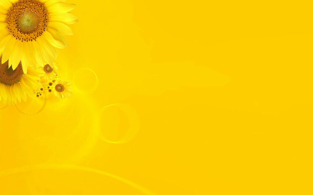 Sunny Serenade: Sunflowers and Ripples Dance on Vibrant Yellow Canvas Wallpaper
