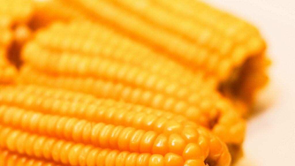 Vibrant Yellow Sweetcorn Cobs Wallpaper - Food-Themed Background