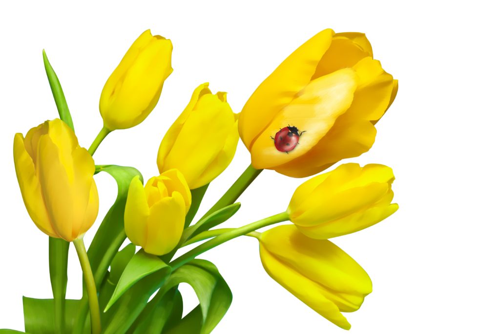 Vibrant Yellow Tulips on Black Background with Ladybug Charm Wallpaper