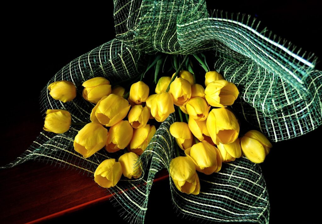 Vibrant Yellow Tulip Bouquet in Green Mesh on Dark Background Wallpaper