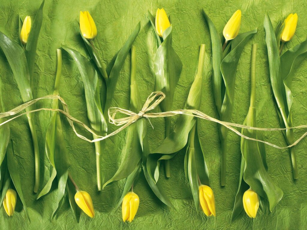 Vibrant Yellow Tulips on Textured Green Background with Rustic Touch Wallpaper