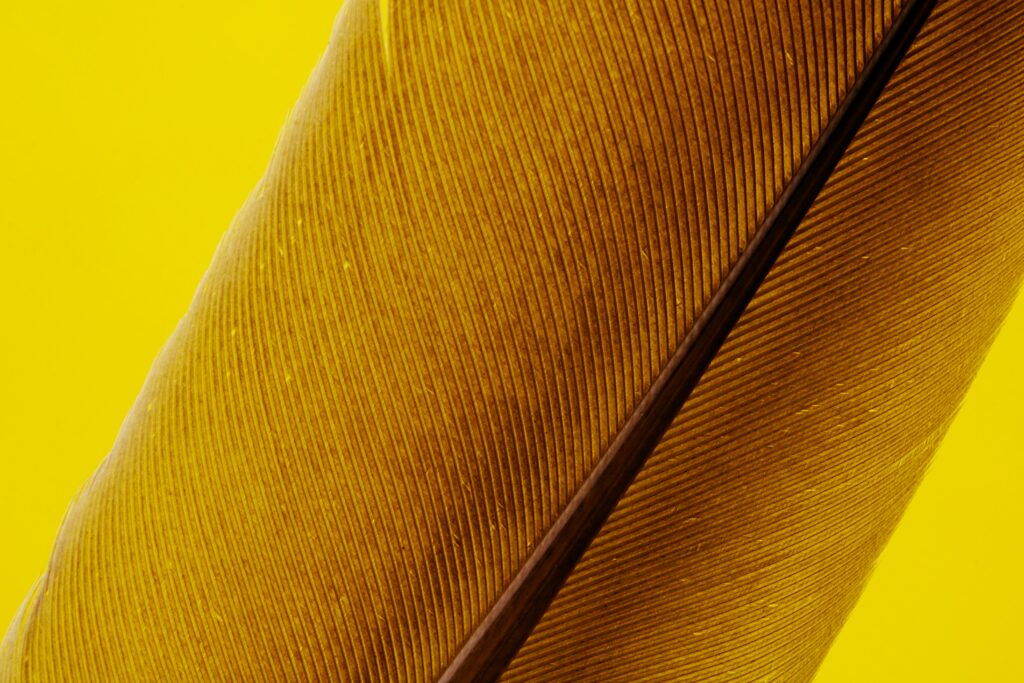 Vibrant Yellow Wallpaper: Close-Up of Intricate Feather Patterns
